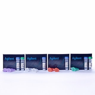 BL21-CodonPlus Competent Cells